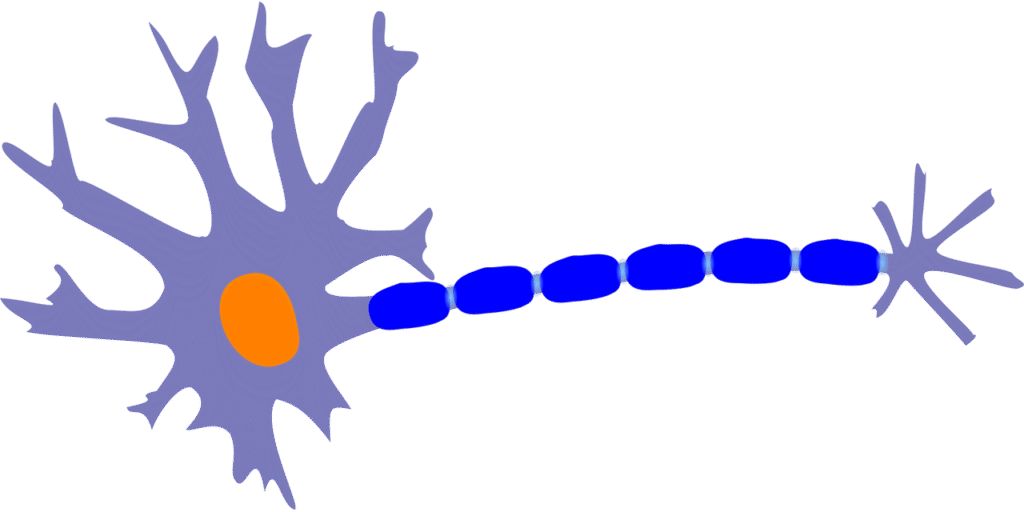 Exploring the Three Pillars of Leadership in Neuroscience Exploring the Three Pillars of Leadership in Neuroscience