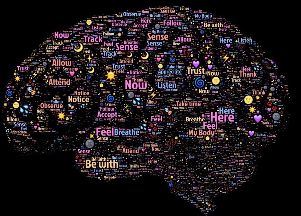 Understanding the Ages Model of Neuroplasticity in Leadership Development Understanding the Ages Model of Neuroplasticity in Leadership Development